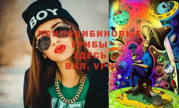 сатива Абаза