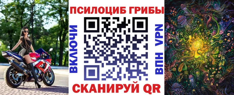 Псилоцибиновые грибы Psilocybine cubensis  цена   МЕГА как войти  Камень-на-Оби 